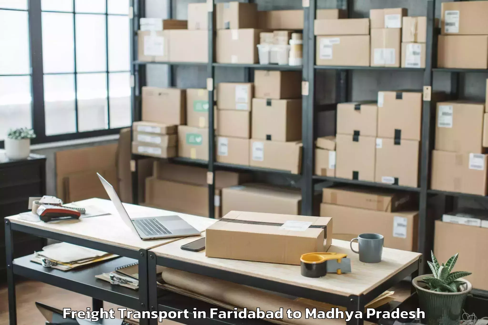 Book Faridabad to Satna Freight Transport Online